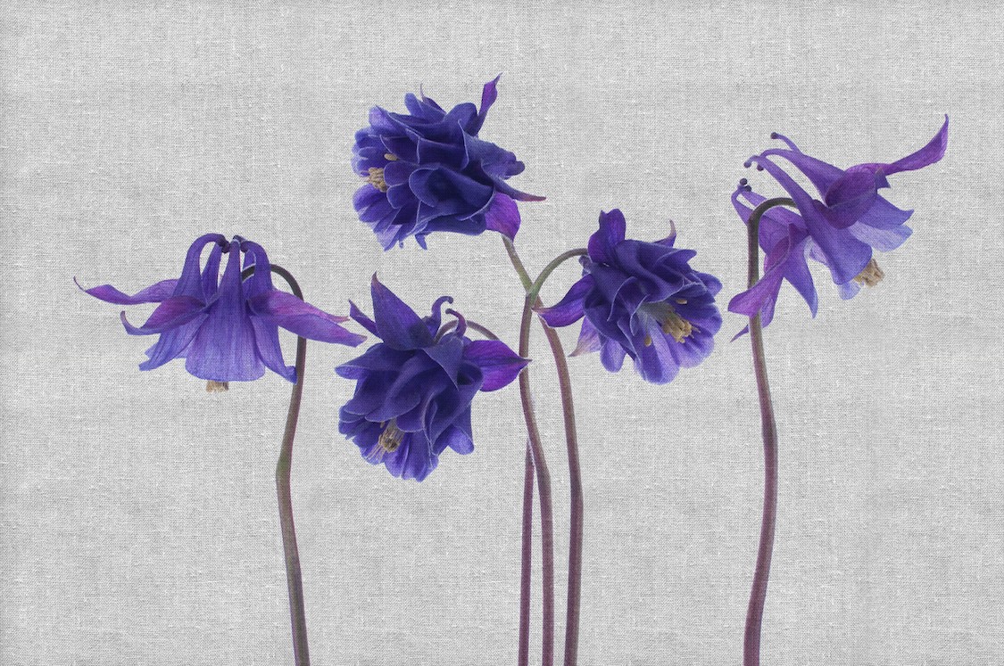 Gestrickte Blumen  3D Fototapete