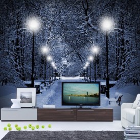 Schneefall