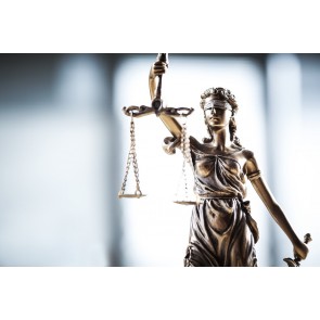 Egalität des Rechts