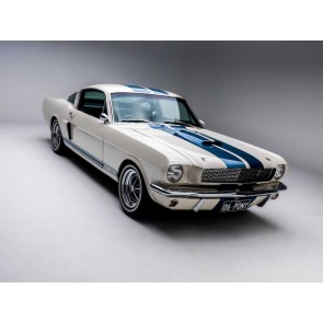 Mustang Auto 
