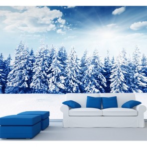 Weißer Wald  Fototapete - Geklebte