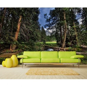 Baum Brücke Foto Tapete - Geklebte