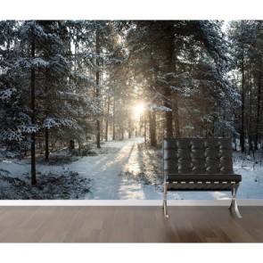 Winterlandschaft Tapeten