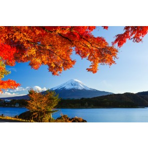 Wo Jahreszeiten sich treffen 