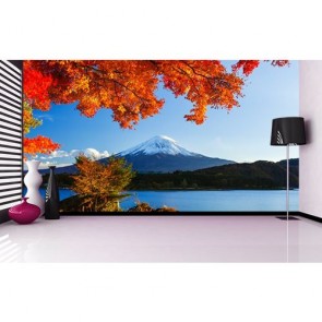 Wo Jahreszeiten Sich Treffen  Foto Tapete