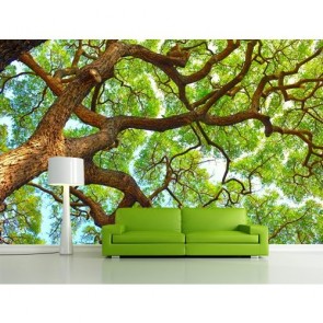 Großer Baum  Tapeten 3D