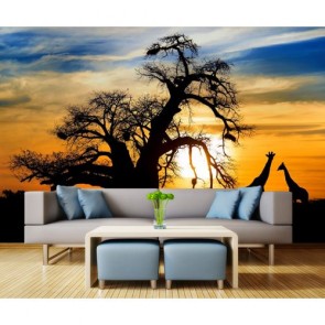 Safari Beim Sonnenuntergang  Fototapete 3D