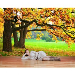 Schönheit Des Herbstes 3D Tapete