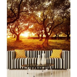 Olivzweige 3D Fototapete