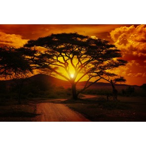 Einzigartige Landschaft 