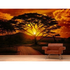 Einzigartige Landschaft  Foto Tapete