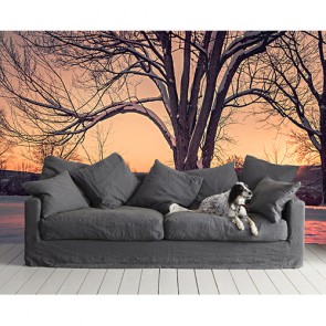 Weiße Decke 3D Fototapete - Geklebte