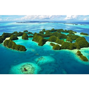 Vogelperspektive auf Inselschönheit