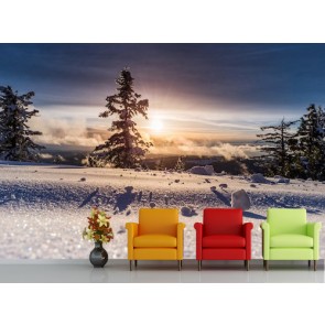 Schneeräumung  3D Tapete - Geklebte