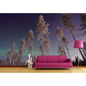 Sehr Hohe Bäume  Tapeten 3D - Geklebte