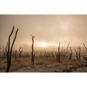 Selbe Höhe wie der Boden 