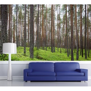 Unendliche Bäume  3D Tapete - Geklebte
