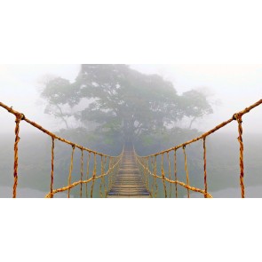 Tiefe Brücke Bild