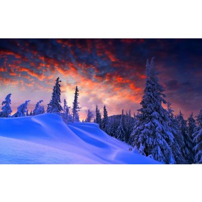 Winter und Weihnachten 