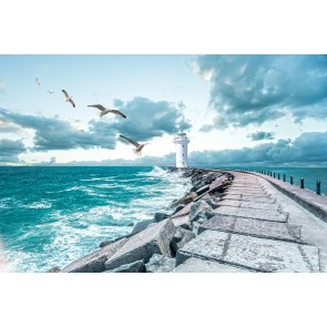 Lichthaus und Möwen 