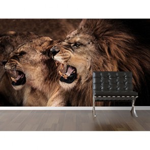 Brüllender Löwe Tapeten 3D Effekt - Geklebte
