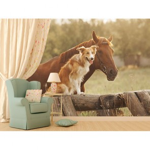 Freunde Poster Bilder - Geklebte