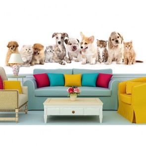 Katzen Und Hunde  Tapete - Geklebte