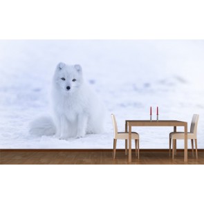 Einsamer Wolf  3D Fototapete - Geklebte