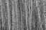Pappel Baum  Tapeten 3D - Geklebte