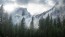 Wald Und Schnee In Yosemite Nationalpark  Fototapete 3D