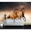 Im Galopp 3D Fototapete