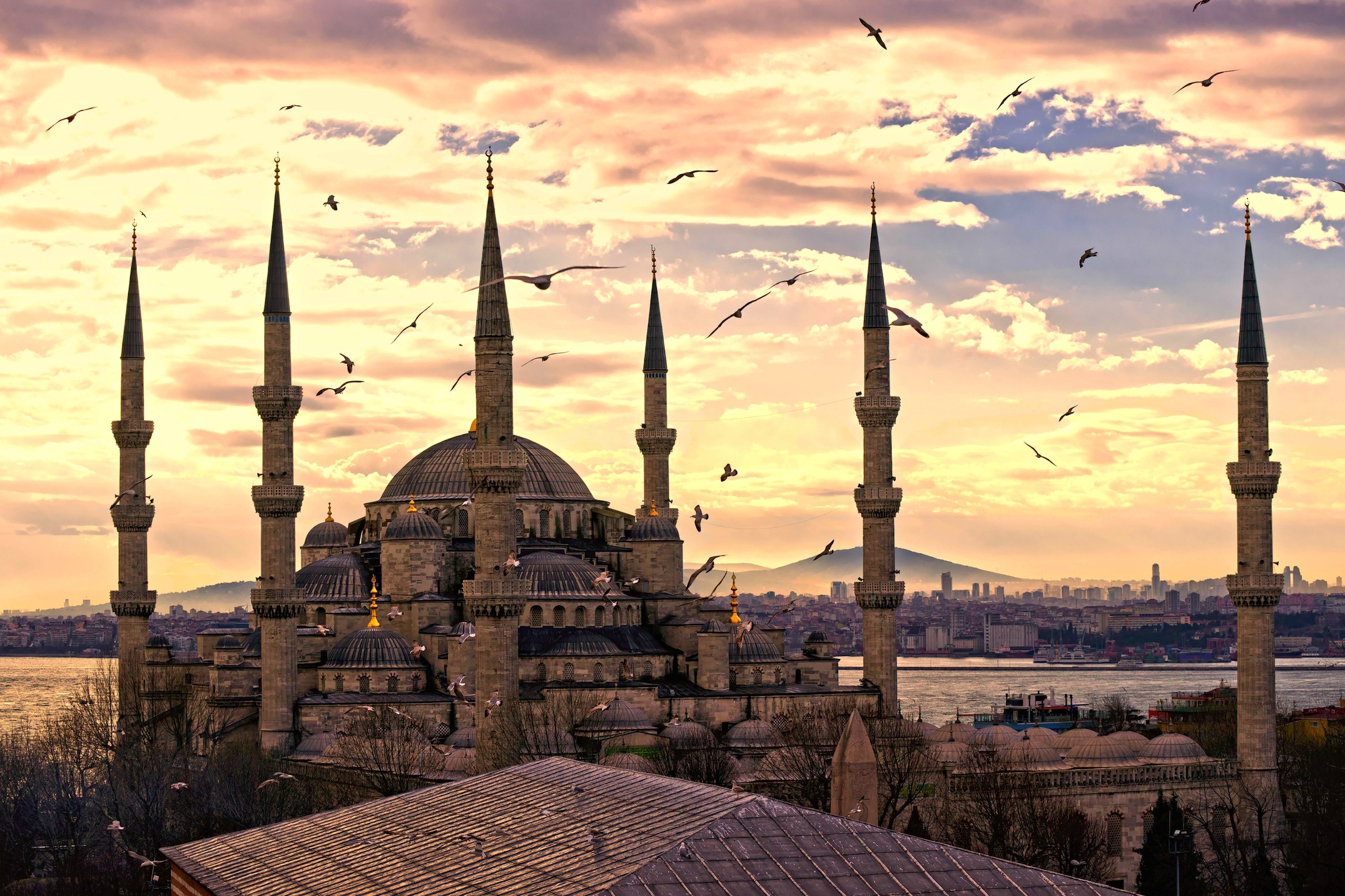 Sultan Ahmed Tapeten