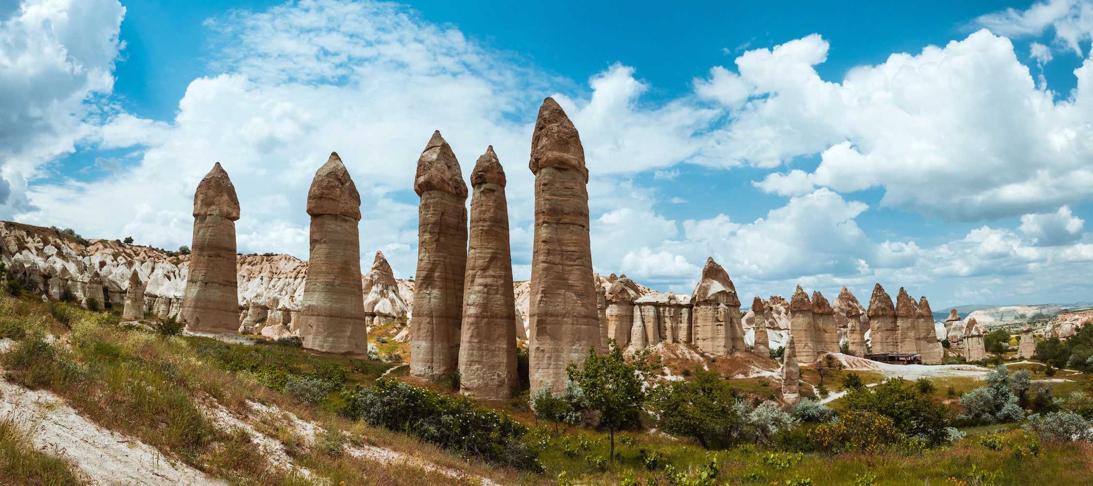 Cappadocia Harem  3D Tapete