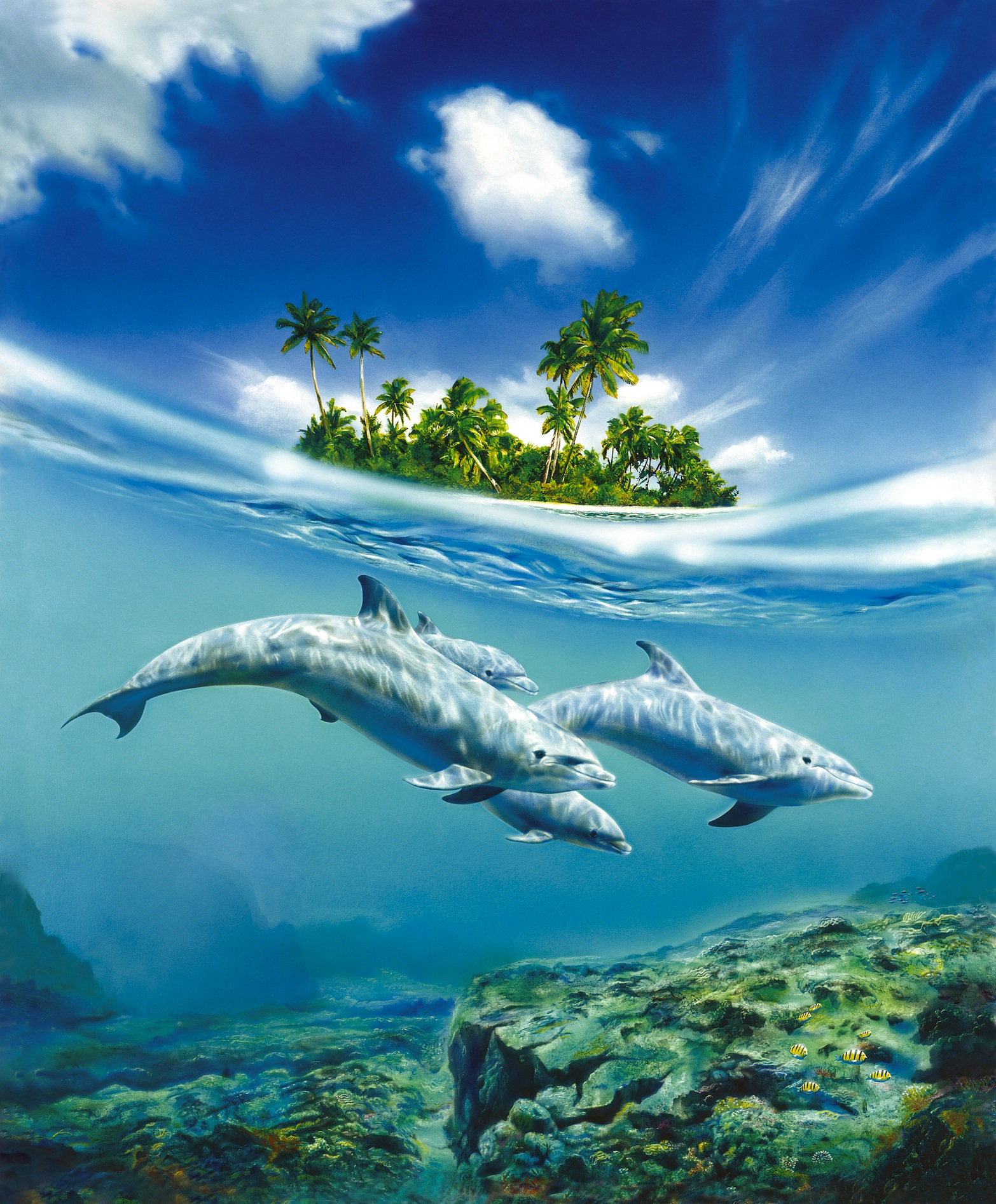 Freie Delphine Tapete - Geklebte