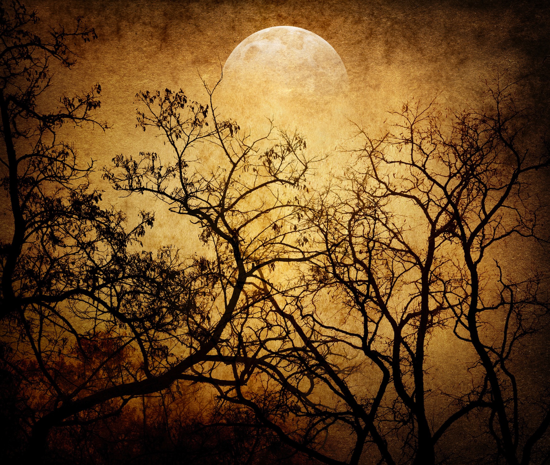 Dunkelheit Fällt  Fototapete