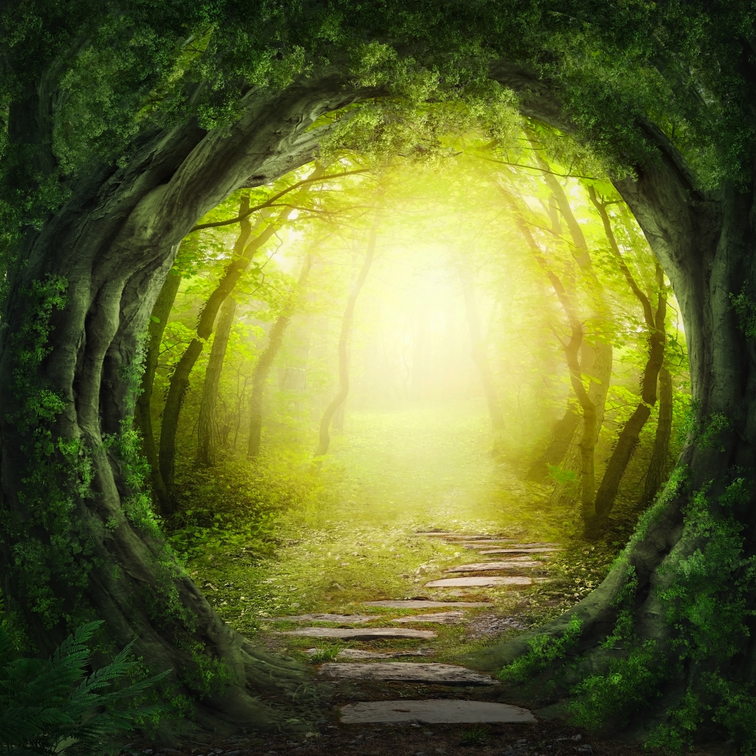 Reise In Das Licht  Bildtapete