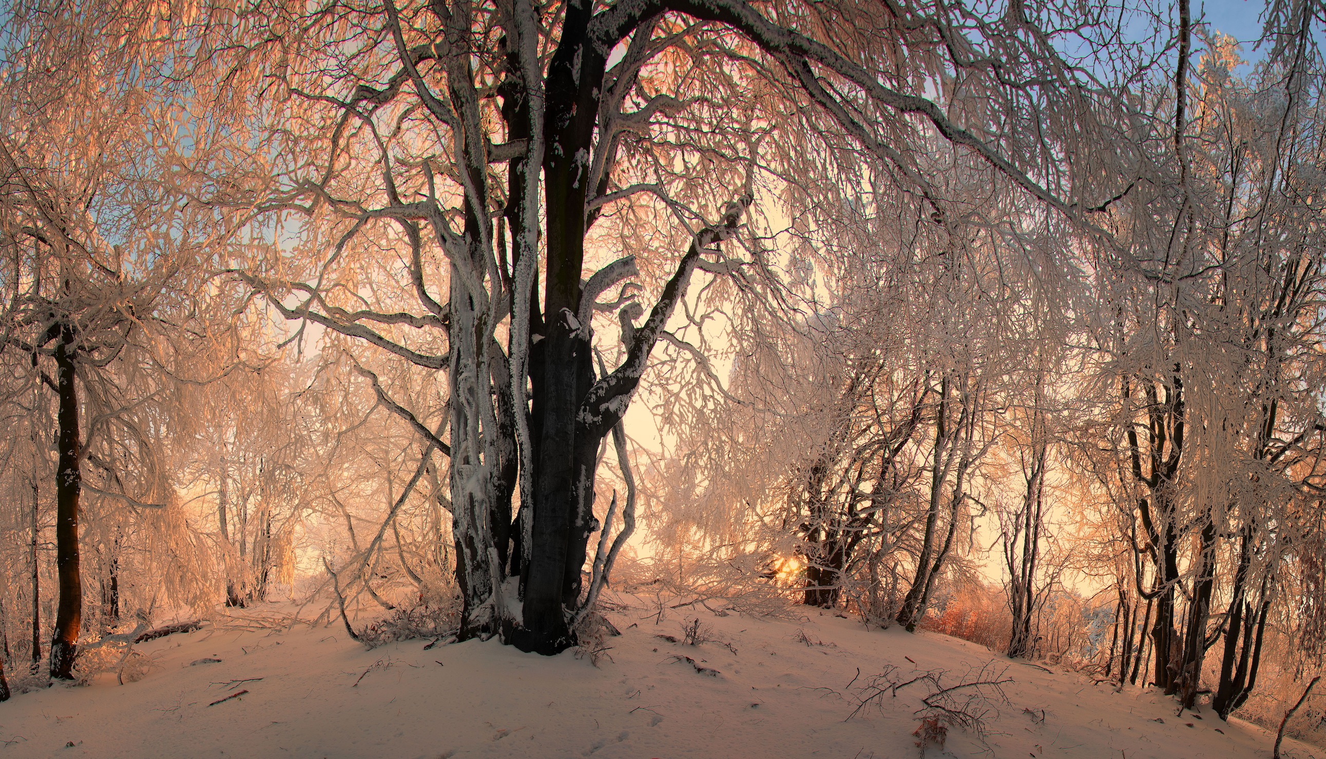 Winterhügel 3D Fototapete - Geklebte