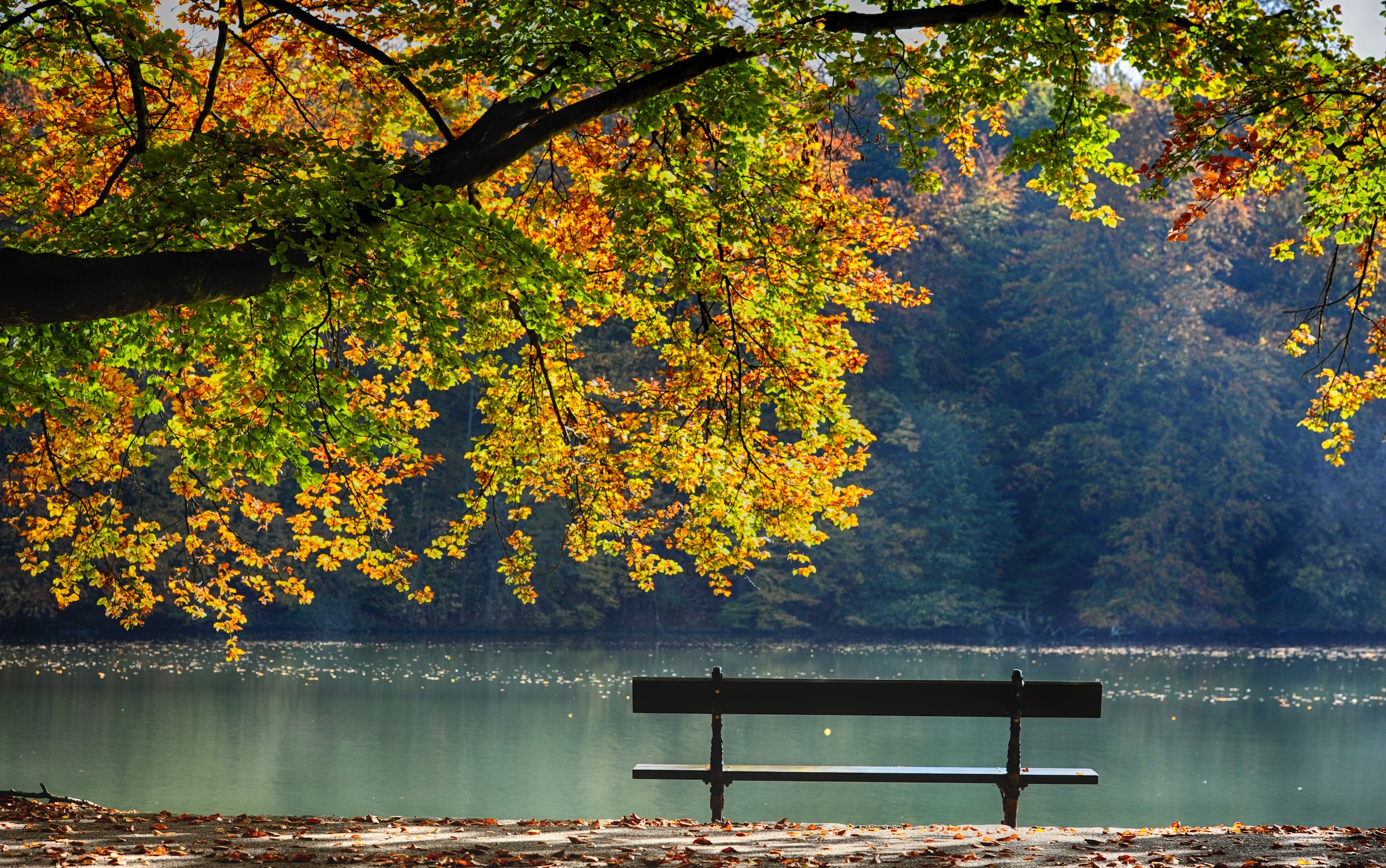 Frieden Am Strand 3D Tapete - Geklebte