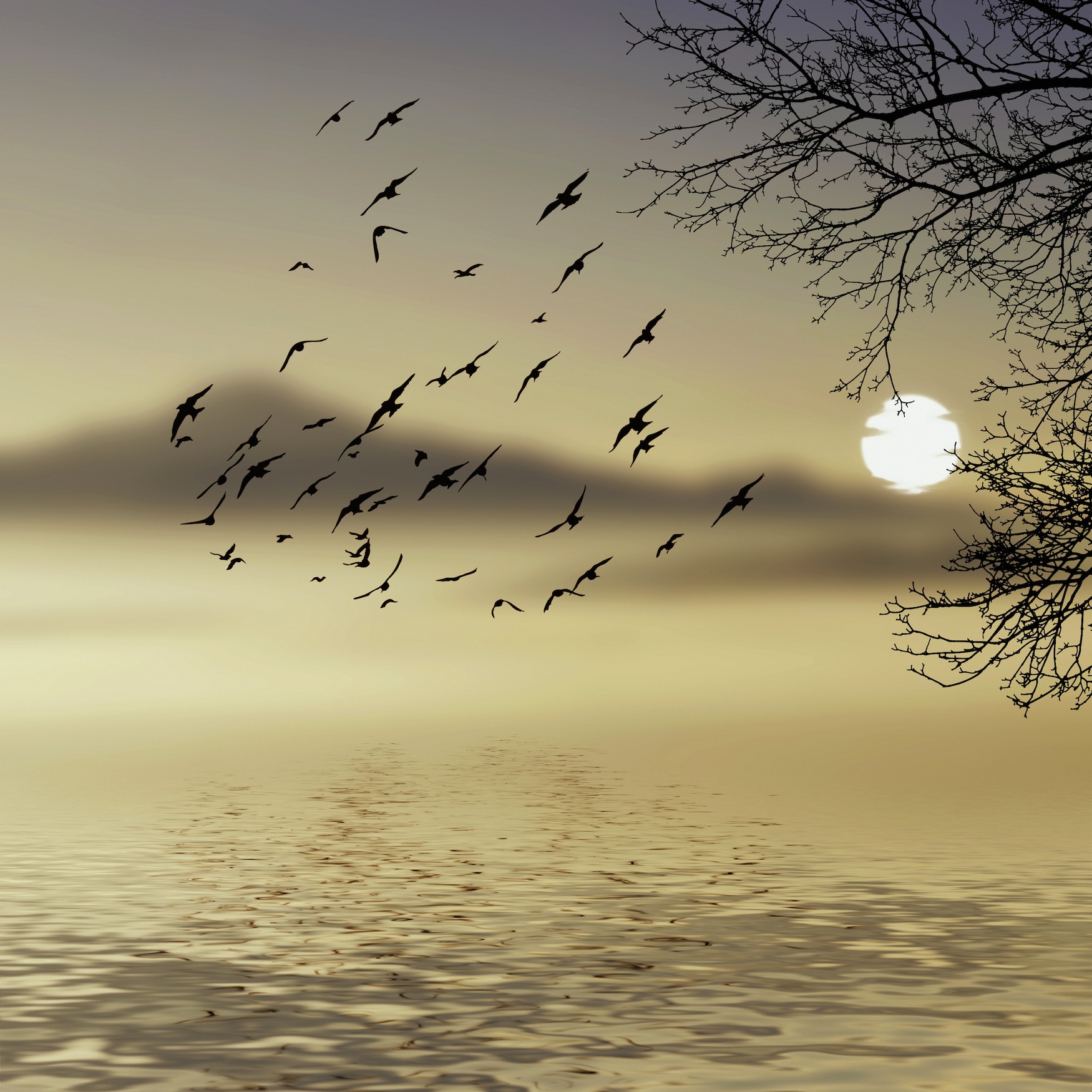 Im Nebel  Tapeten 3D