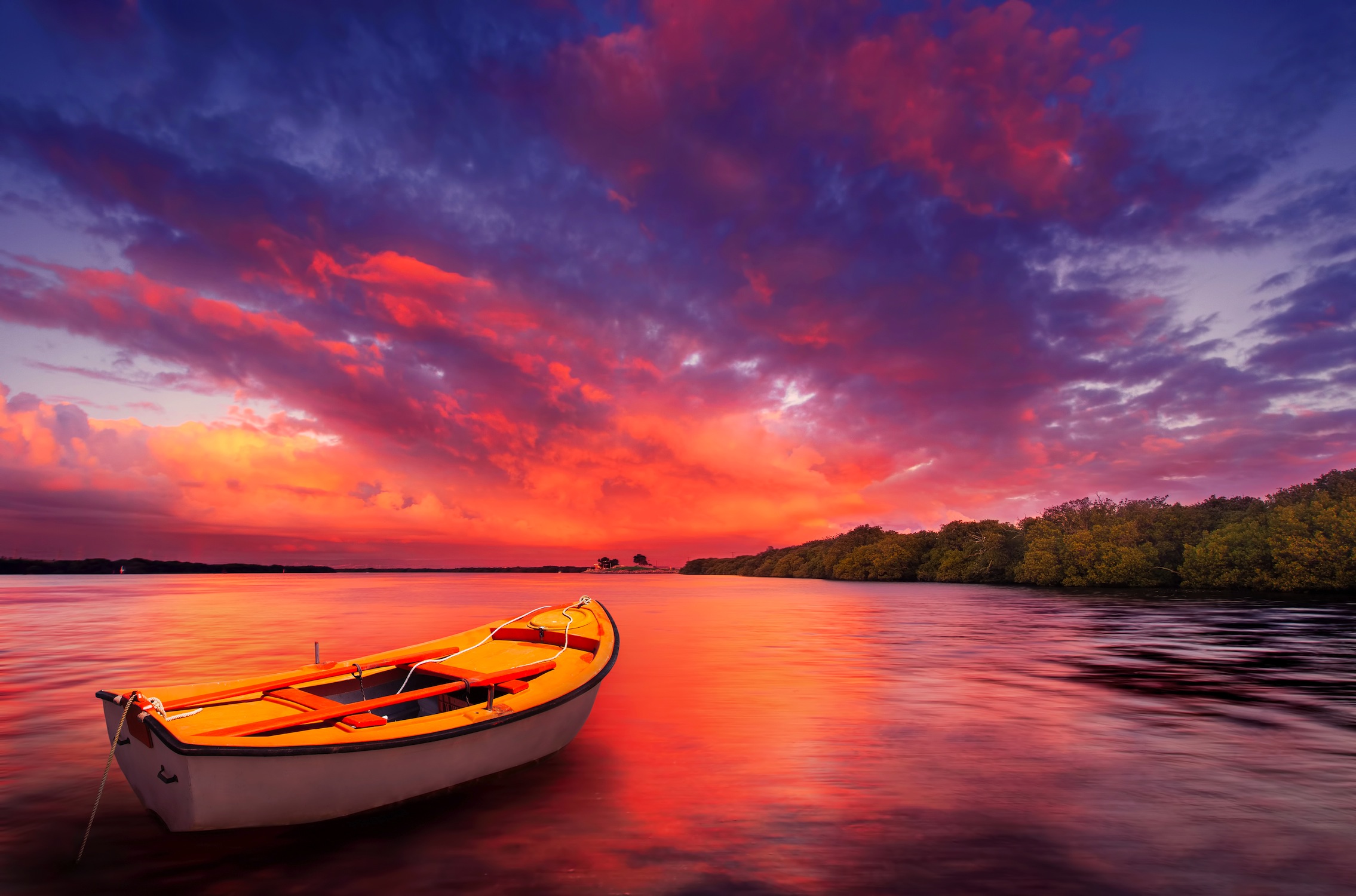 Lavendel  Tapeten 3D Effekt