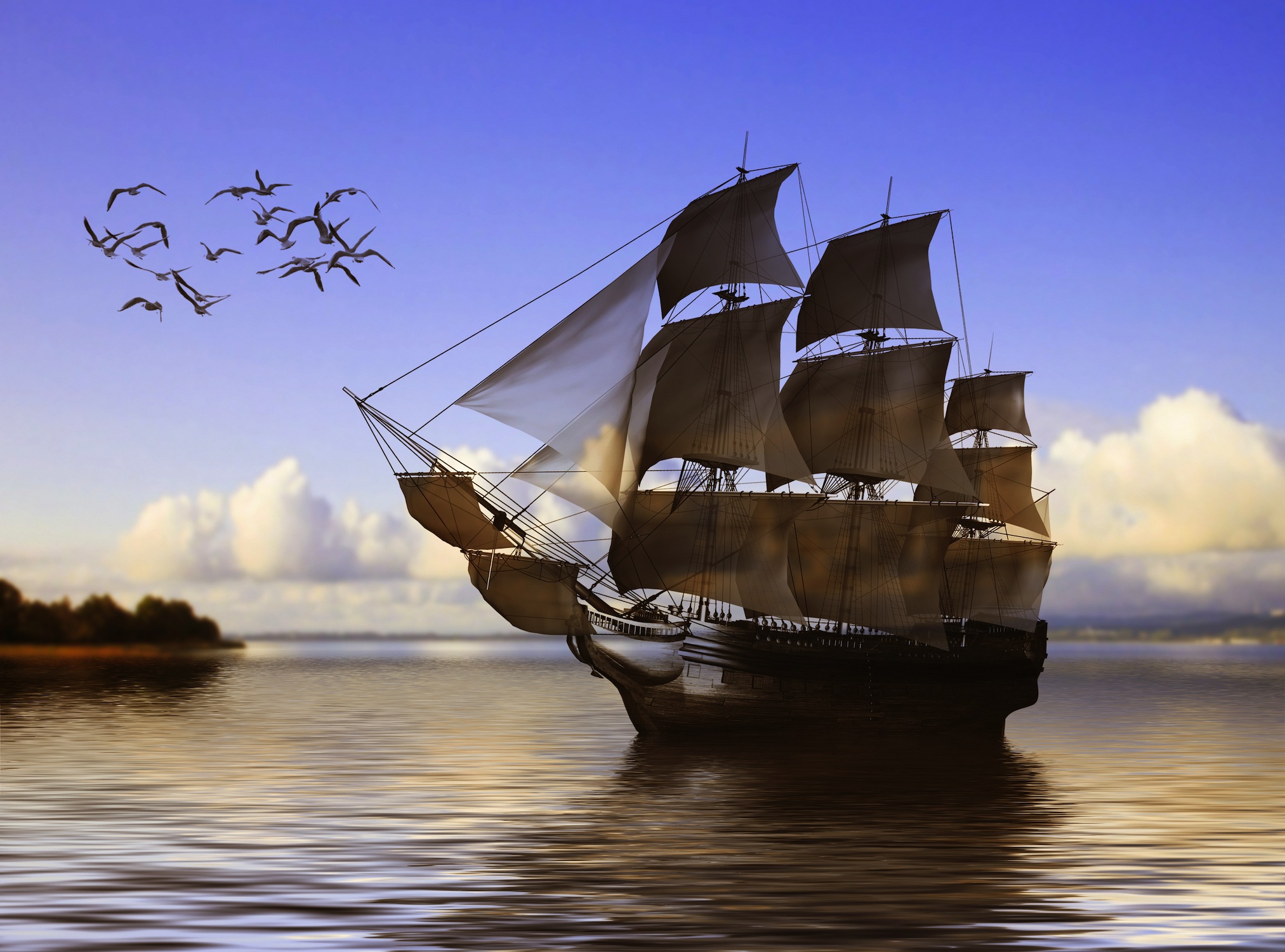 Schwarze Perle  Poster Bilder