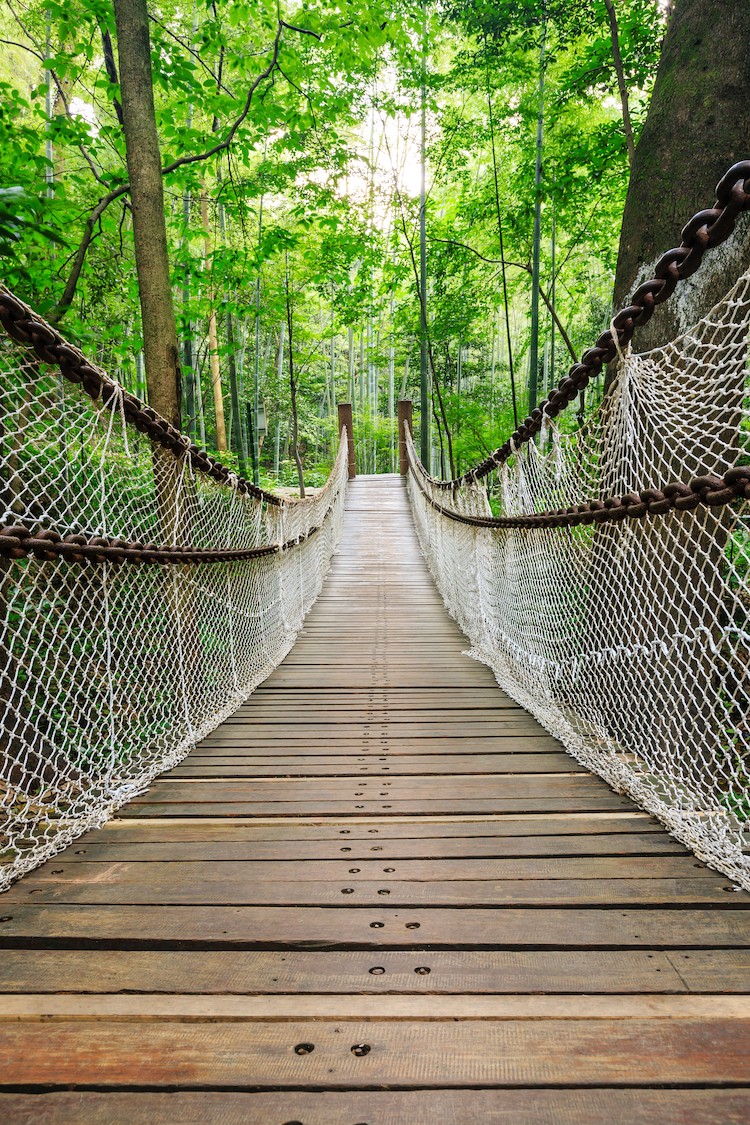 Brücke Aus Holz  Tapete