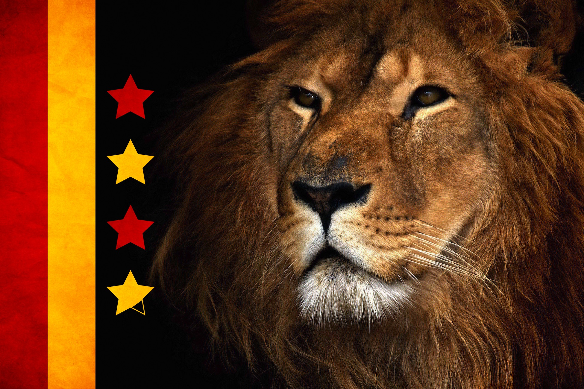 König Der Welt Bildtapete - Geklebte