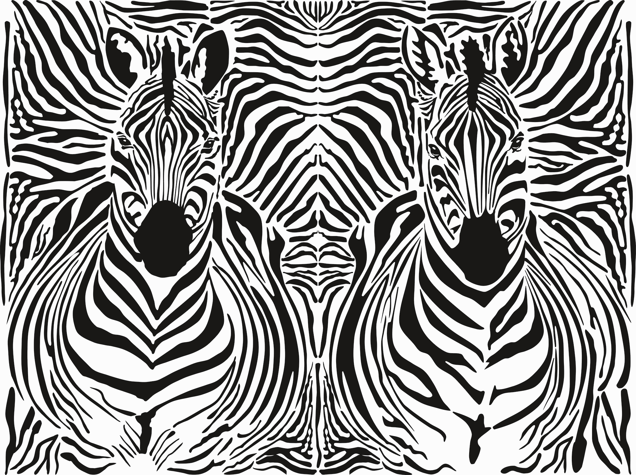 Zebrastreifen  Fototapete 3D