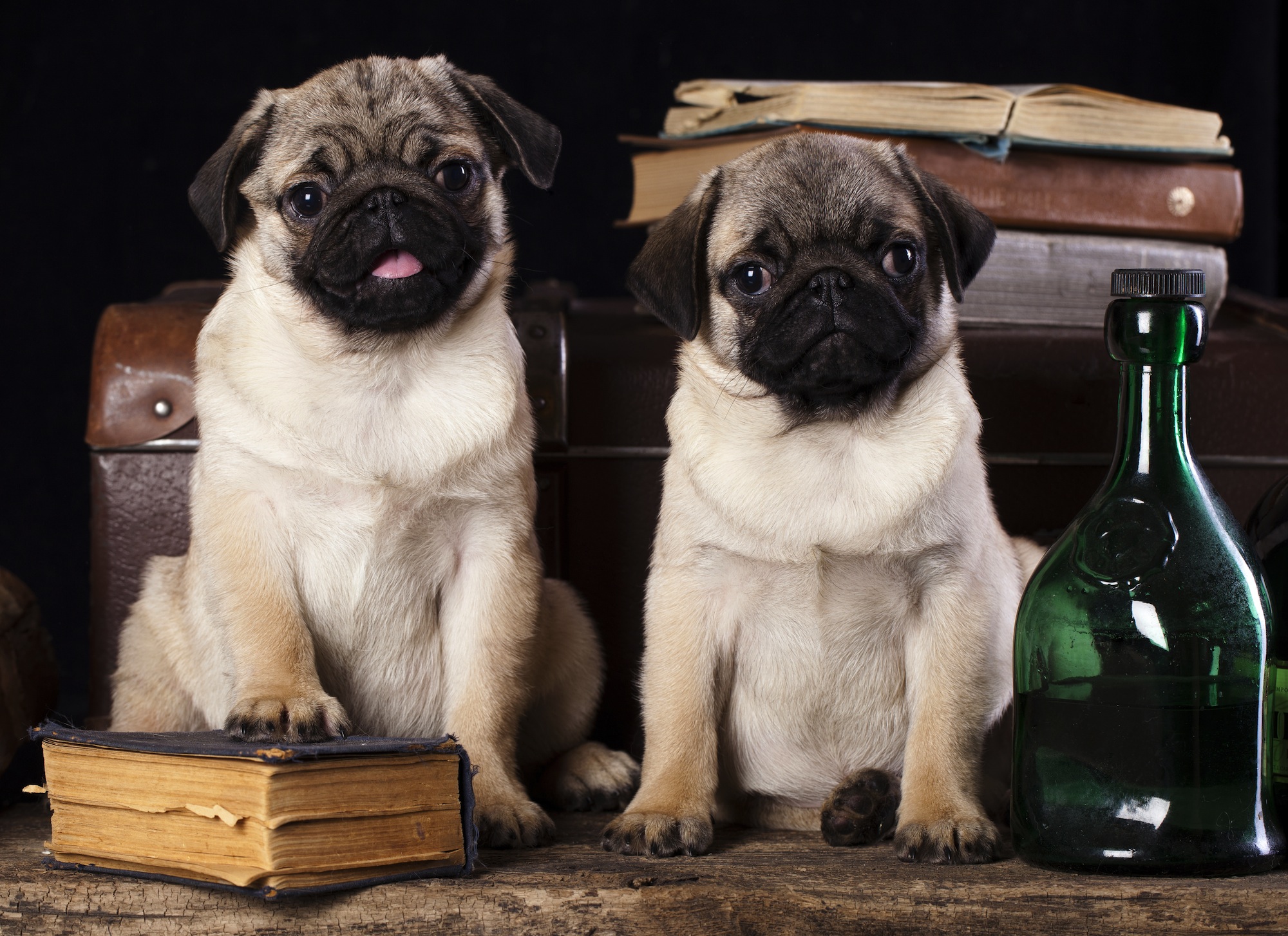 Alberne Miene Tapeten