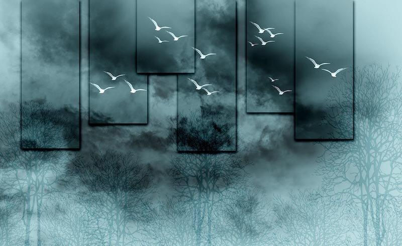 Leben an der Wand Fototapete wallpaper mural