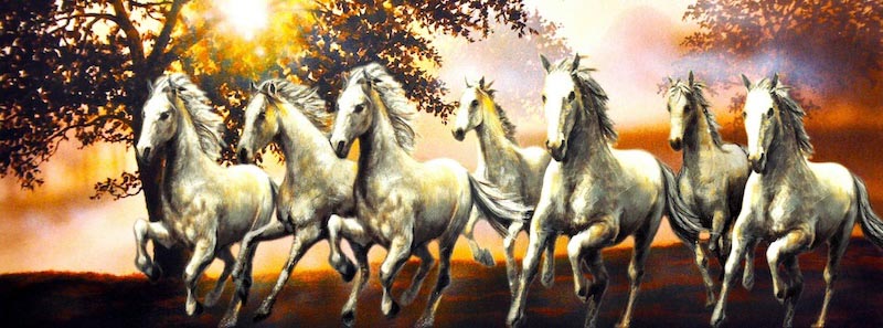 Sieben freie Pferde Fototapete wallpaper mural