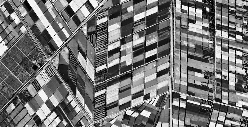 Monochrome Felder Abstract Art Fototapete wallpaper mural