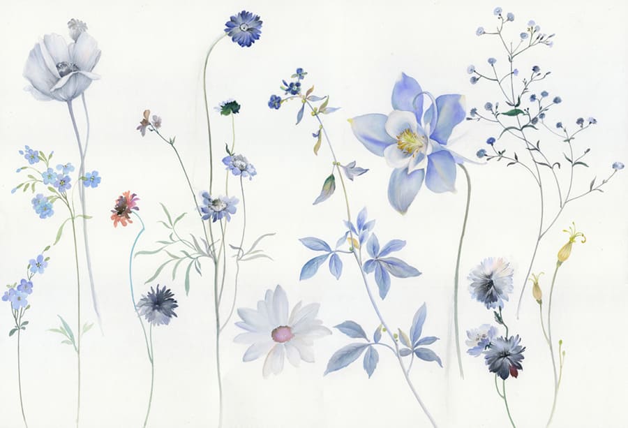 Zarte Blaue Wildblumen Aquarell Fototapete wallpaper mural