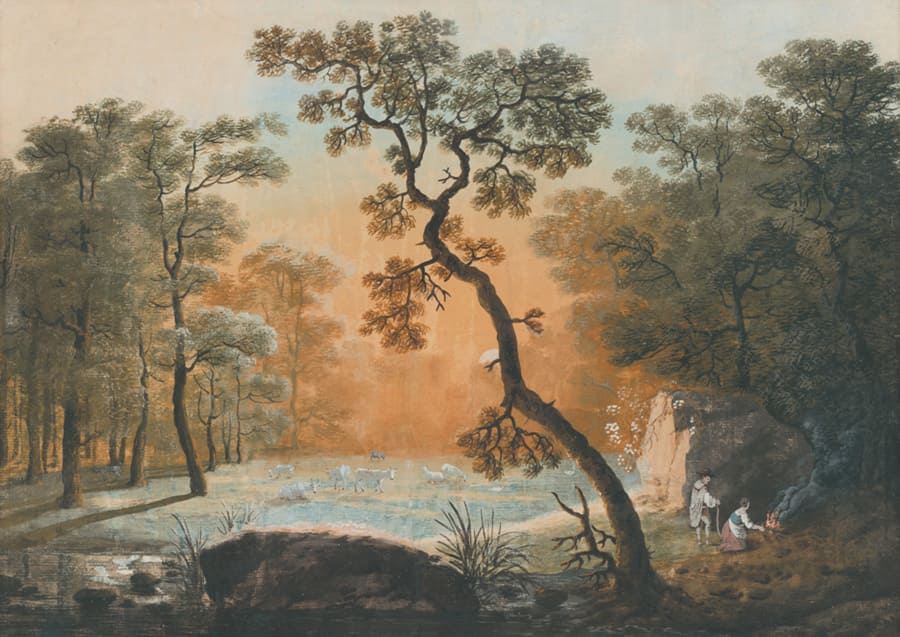 Fototapete Waldszene mit Geschwungenem Baum wallpaper mural